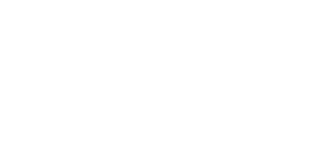 FluoroFusion logo